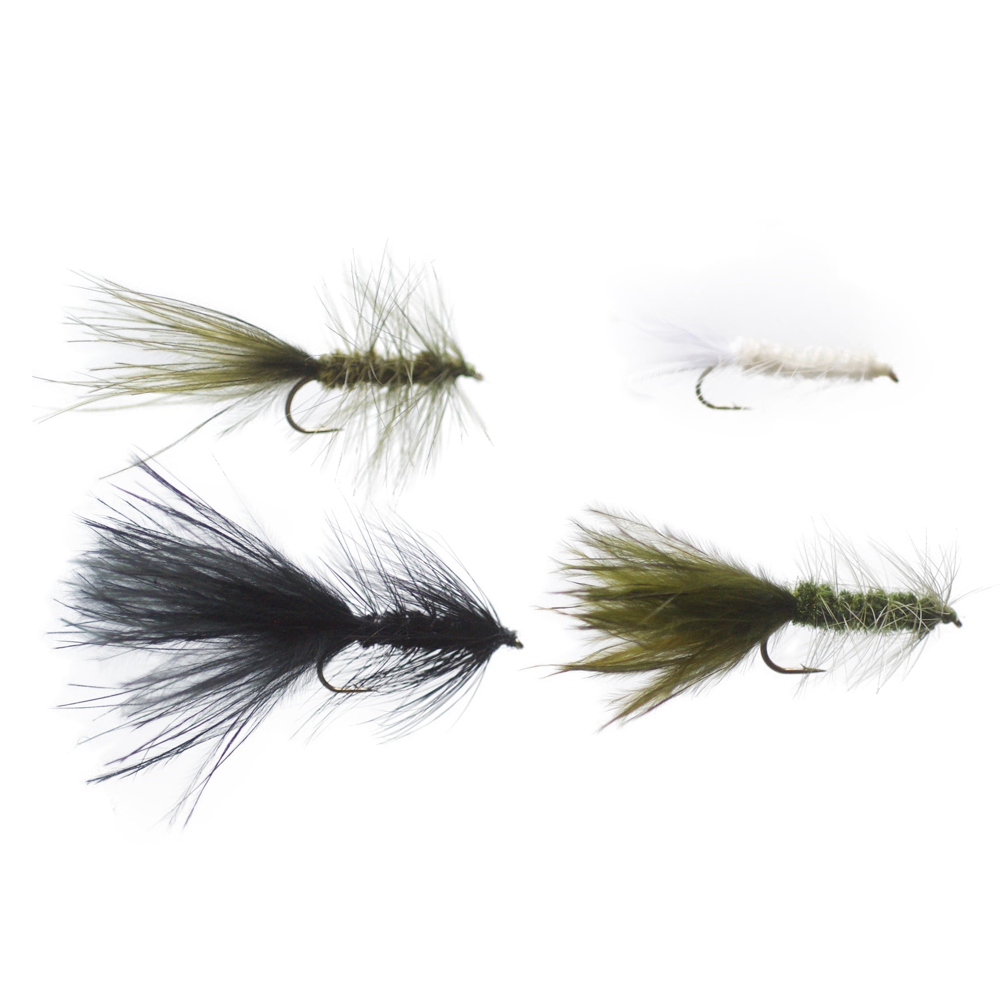 Wooly Bugger-Sortiment