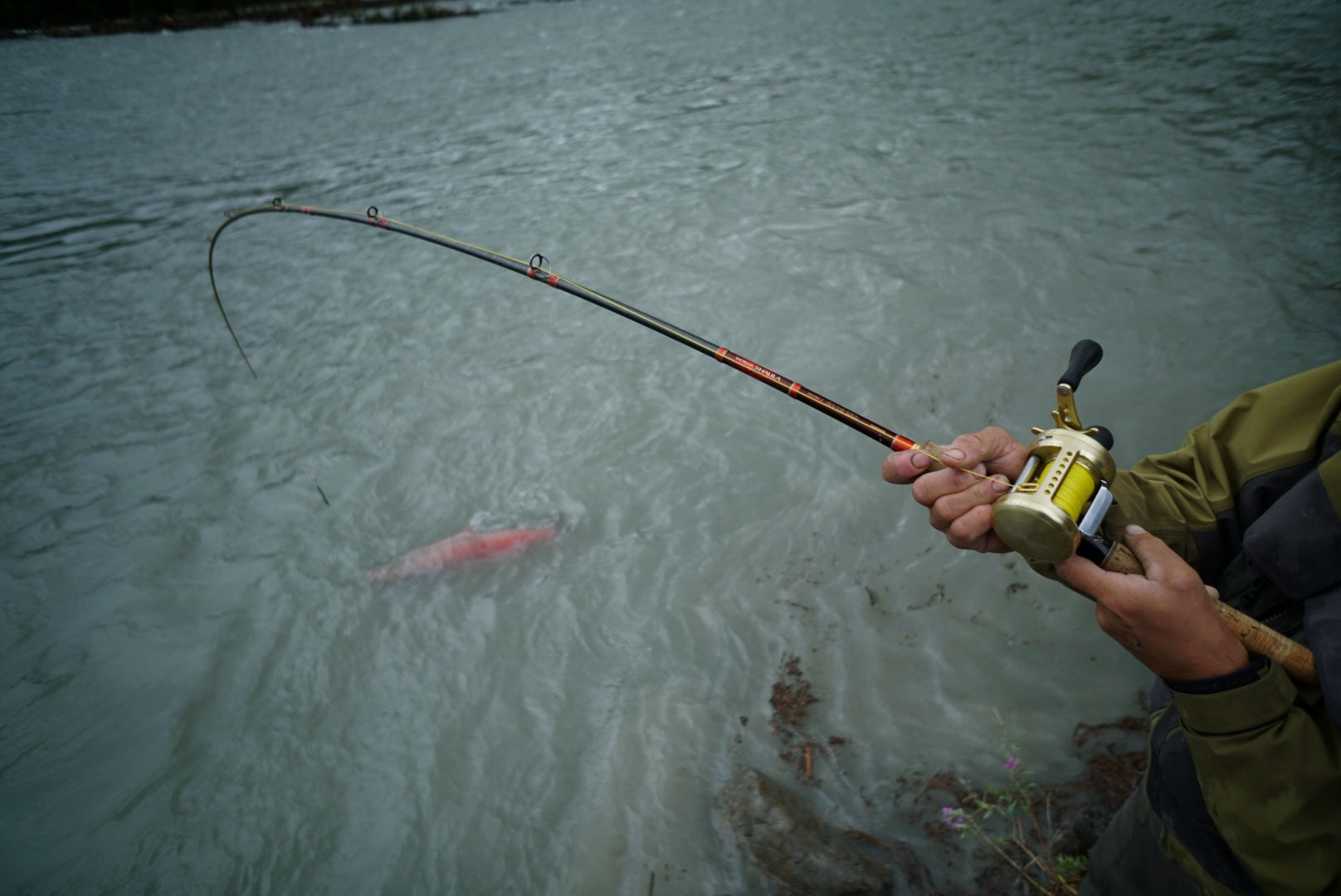 An angler is holding onto their pole and has caught a fish on their line.