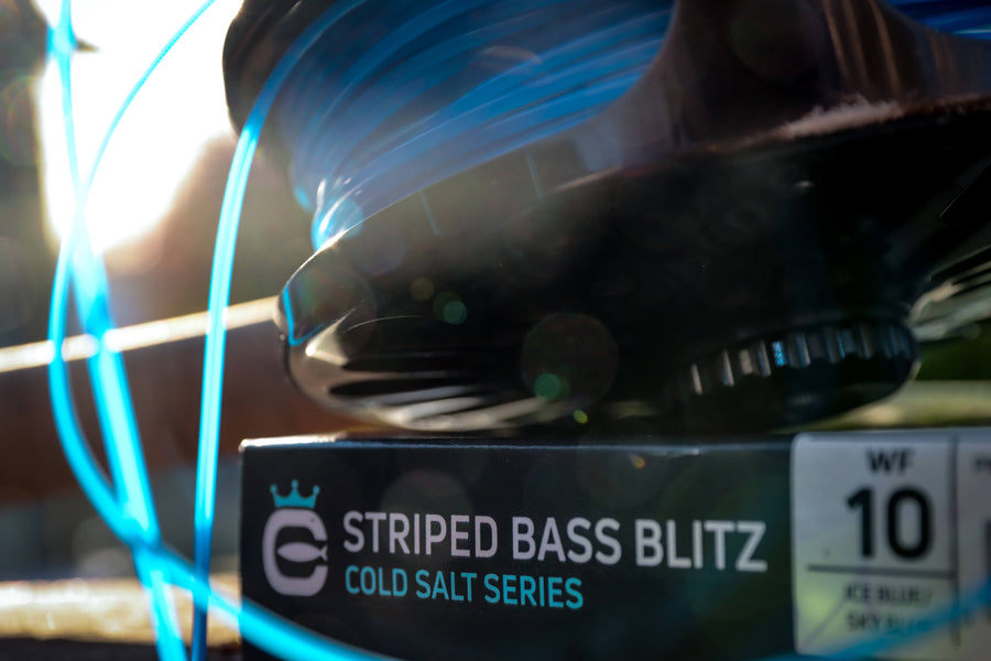 Striped Bass Blitz