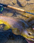 Nymph Series Fly Rods - European Style Nymphing