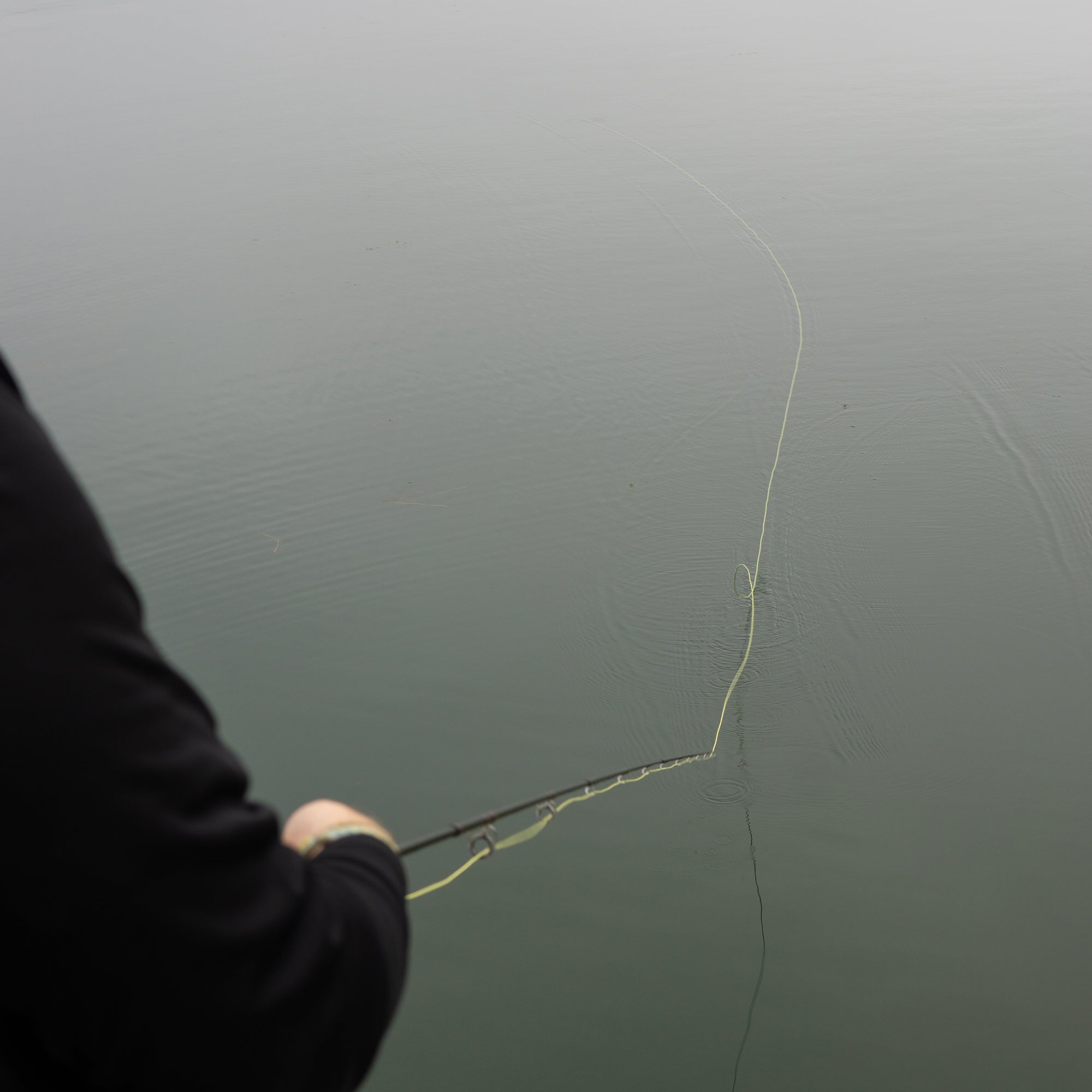 A fly line sitting on a body of water with the angler&#39;s shoulder in the bottom left of the frame. 