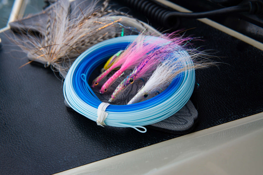 Striped Bass Blitz